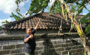 Ditengah Padatnya Jadwal Pengawasan, Bawaslu Tabanan Menyempatkan Untuk Bersih-bersih Lingkungan Kantor